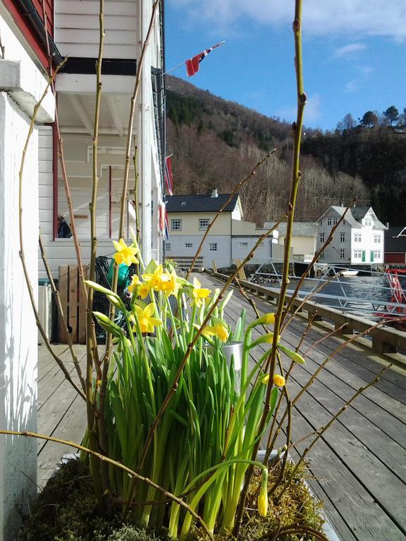 Tysnes Sjo Og Fritid Aparthotel Uggdal Εξωτερικό φωτογραφία